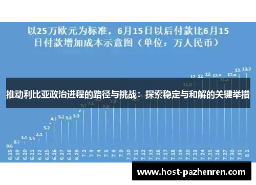 推动利比亚政治进程的路径与挑战：探索稳定与和解的关键举措