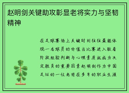 赵明剑关键助攻彰显老将实力与坚韧精神